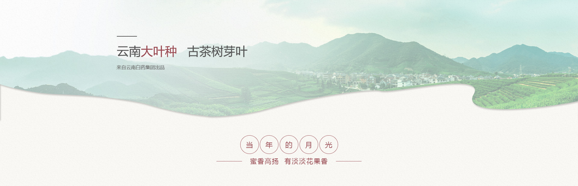 ǲ(й)ٷվ