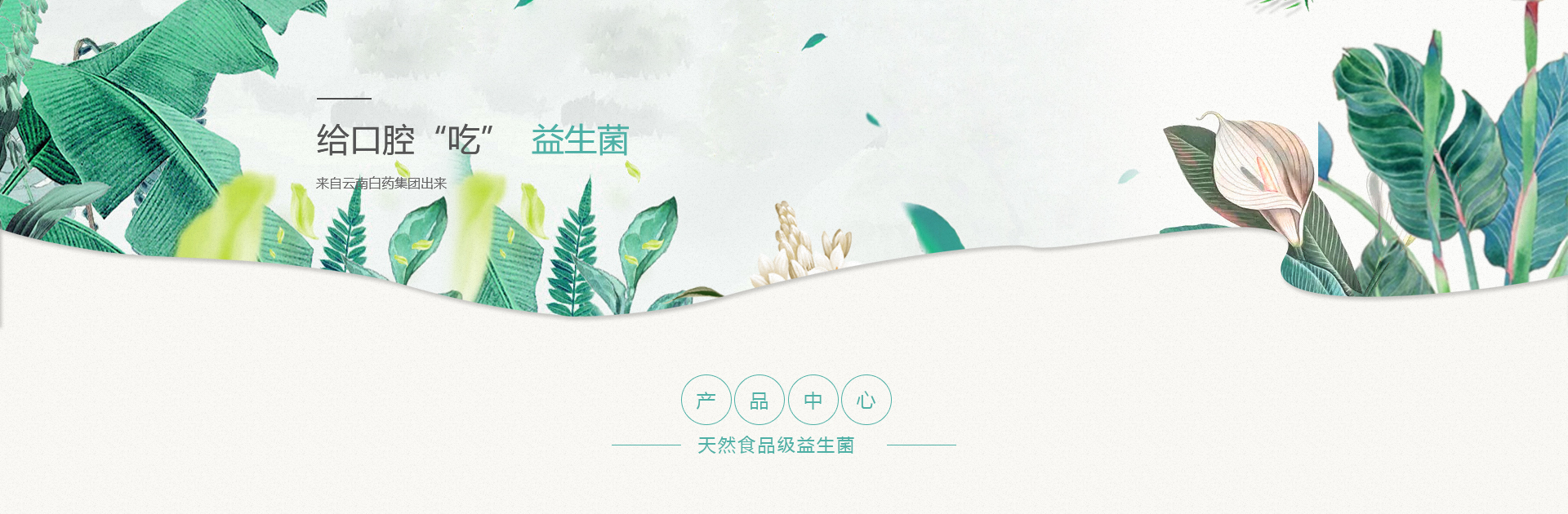 ǲ(й)ٷվ
